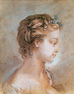 Portrait of a Young Girl